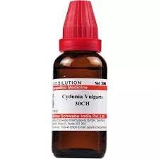 Schwabe Cydonia Vulgaris 30 CH (30ml) (pack of 2) (B0CNPSXFLD) Amazon Price History, Amazon Price Tracker