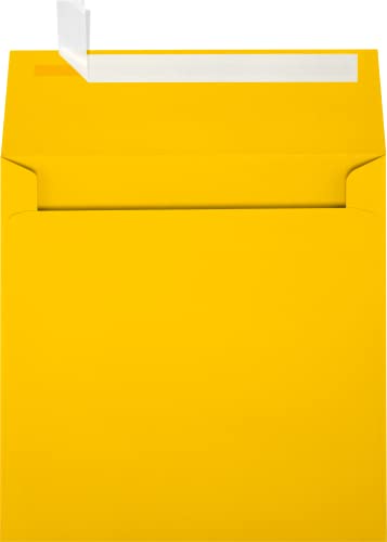 LUXPaper Square Invitation Envelopes | Peel & Press | 6 1/2