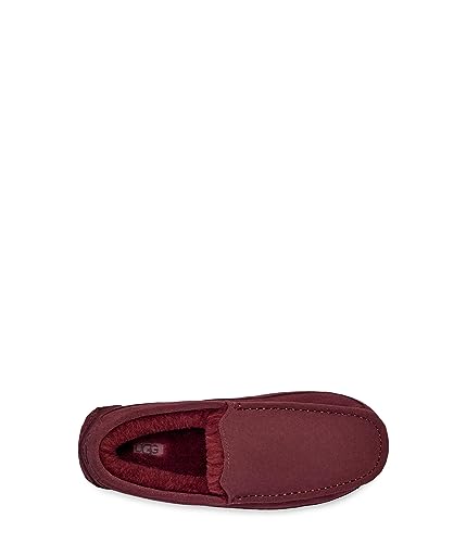 Image of UGG Men's Ascot Slipper