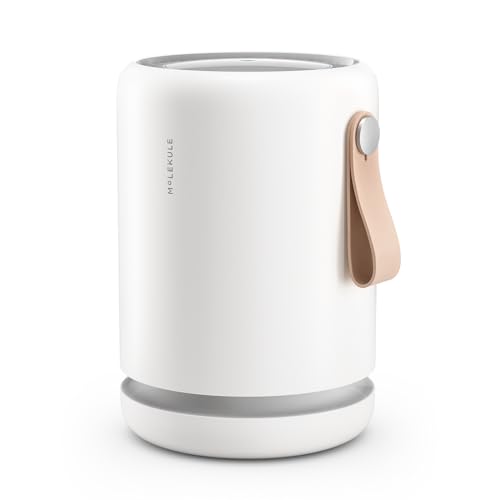 Molekule Air Mini+ Purificador de Aire