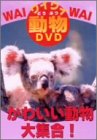 ���C���C����DVD ���킢��������W��!