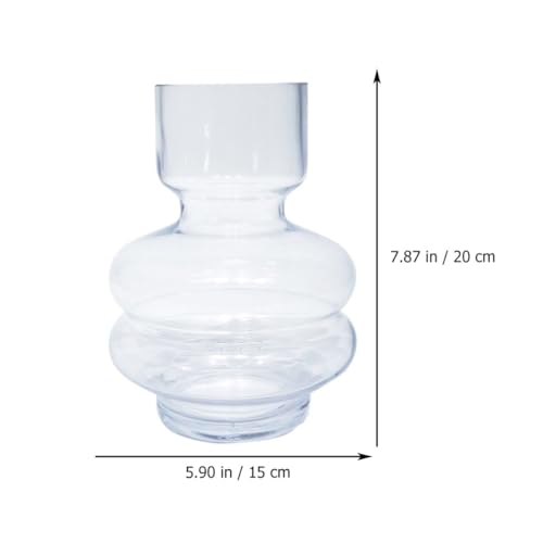 Bouteille Hydroponique en Verre Transparent DOITOOL Vase à Bourgeons