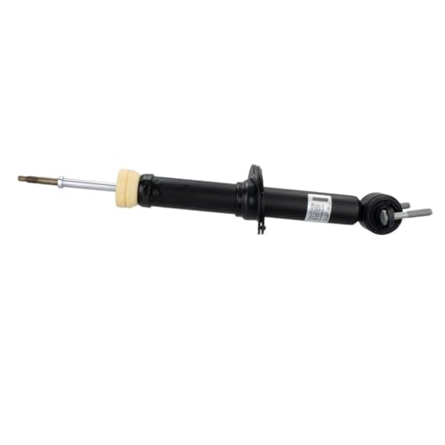 Amortisseur Motorcraft ASH866165 résout les vibrations et chocs de suspension