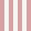 Strawberry Daiquiri Stripe Strawberry Daiquiri Stripe