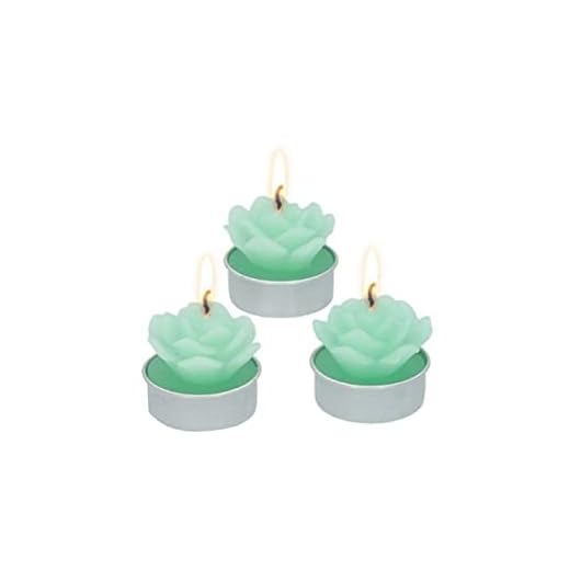 Colorbaby Quemador De Esencias Zen