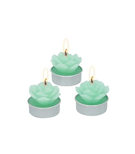 Colorbaby Quemador De Esencias Zen