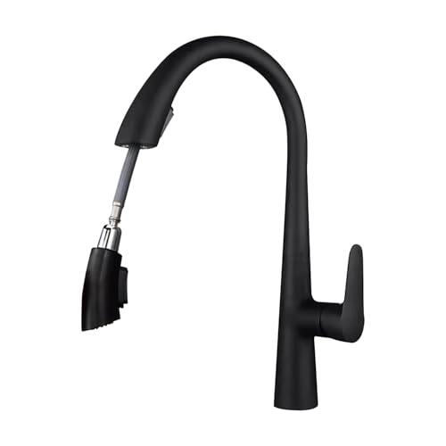 KUKKUME Kitchen Faucets with Pull Down Sprayer, Single Handle Kitchen Sink Faucet Modern Staninless Steel Kitchen Faucet Silver (Black)