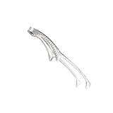 Gatuida Japanische Speisezange aus Edelstahl mit Ergonomischem Design und Hitzebeständiger Klemme für Täglichen Gebrauch zu Hause und Hochzeitsfeiern