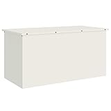 Eleganz Aufbewahrungstruhe aus kaltgewalztem Stahl - Weiße Lagerbox 100x50,5x50 cm - Robust & Witterungsbeständig für Garten, Garage & Keller - Ideal zur platzsparenden Aufbewahrung