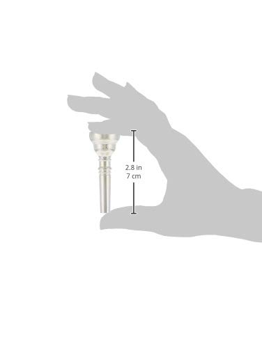 バック コルネット マウスピース アルチザン(Arisan) 6 銀メッキ仕上げ w17b8b5 Amazon | バック コルネット マウスピース アルチザン(Arisan) 6 銀