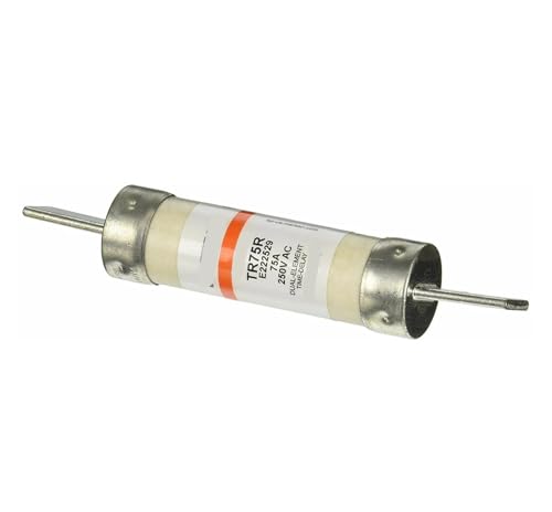 Fusible temporisé TR75R cartouche de protection électrique 75A 250V pour moteur et tableau