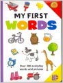 Board book My First Words Over 300 Everyday Words and Pictures Book