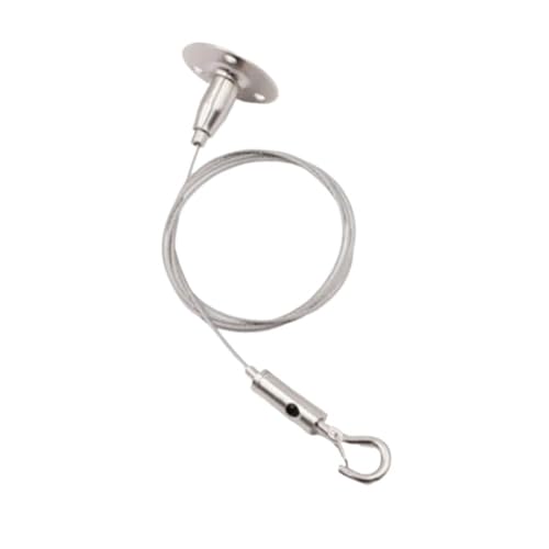 1 unid/set 304 cuerda de alambre de acero inoxidable ajustable colgante pintura artística cuerda colgante para lámpara de arte cartelera foto portarretratos (Color : 1pcs, Size : 1M)