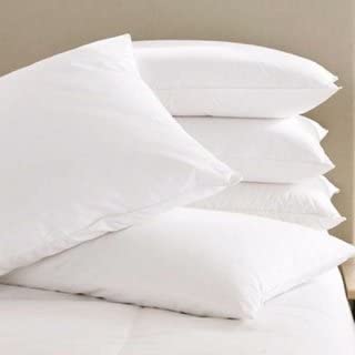 LASER WINGS Fiber Cushion/Pillow Fillers (12 X 18 Inches) Pack of 5, White (B09RN1J1H7) Amazon Price History, Amazon Price Tracker