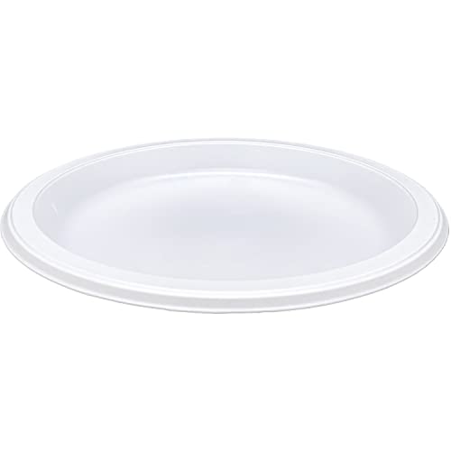 Genuine Joe 10323 Plastic Plates Reusable/Disposable 10-1/4-Inch 125/PK White