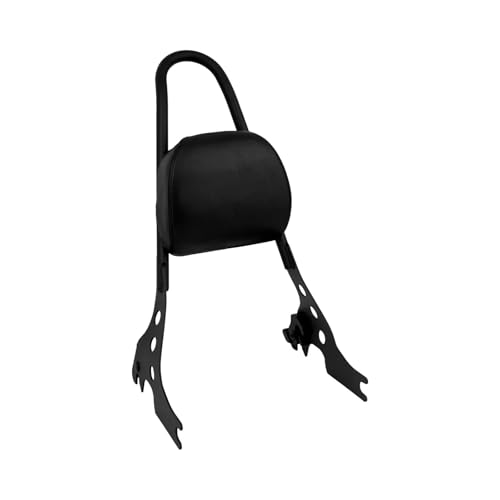Sissy bar dossier passager moto avec porte-bagages amovible pour Sportster XL 1200 883 48