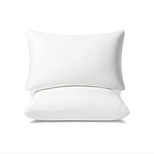 Image of AM AEROMAX 12 x 20 Pillow Insert (Pack of 2) Memory Foam Lumbar Support Throw Pillow Sham Rectangular for Decorative Cushion Bed Couch Sofa Without Deform After Longtime Use