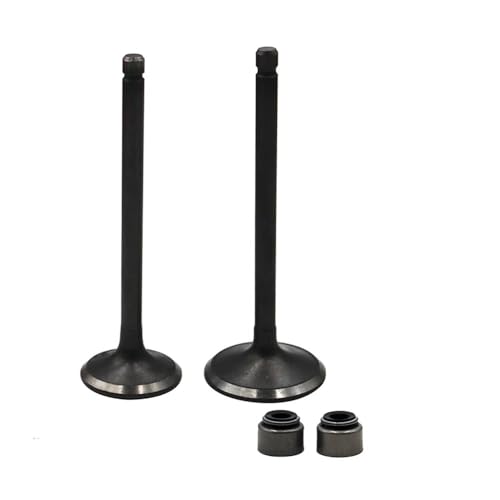 Tige de soupape et pièces moteur moto pour BW200 XT200 ST225 TT225