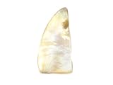 Gewicht: 18 Karat. Biwa SC-5184 Perlen-Cabochon, Süßwasser-Biwa-Perle für Schmuckherstellung, ausgefallene Form, 18 Karat, 41 x 19 x 3 mm, 41x19x3mm, Edelstein, Biwa Perle