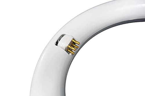 Nyll - 12 Inch/ 12" Plug & Play T9 Circline Led Lamp - Daylight (6000K) Circular Bulb Directly Relamp 32 Watt Fluorescent Bulb Fc12T9/D, Fcl32 (Without Rewiring Or Modification) - Ballast Required! #TOP2
