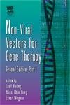 Non-Viral Vectors For Gene Therapy