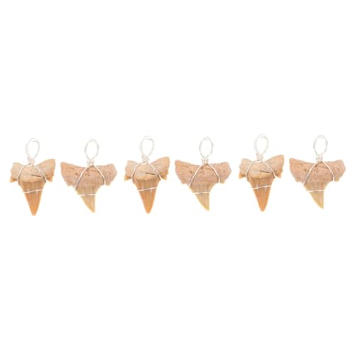 Dent de requin pendentif chaîne collier enfants décoration marine fossile