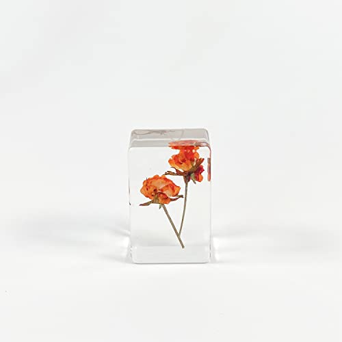 Ptgmh 6 Pcs Pressed Flowers Paperweights Real Dried Flowers Wheat Specimens Resin Paperweights Home & Office Desktop Decor Educational Kit (Colorful B) #TOP2