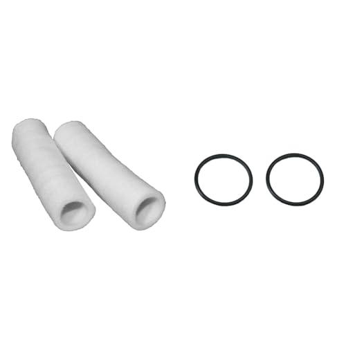 Grünbeck Ersatzfilter für Wasserfilter FS 1 2er Pack *** & Dichtungssatz für Filter Boxer, FS-B 1, 1 1/4 Glocken O-Ring, 2 Stk.