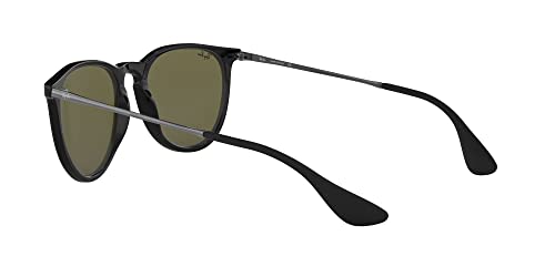 Image of Ray-Ban RB4171 Erika Round Sunglasses