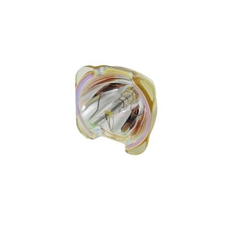 Projecteur de remplacement R9832773 lampe DT01591 compatible PJWU101B CPWU13K