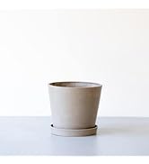 Amazon.co.jp: ECOPOTS キャスター付き鉢皿 10号 12号 エコポッツ L XL