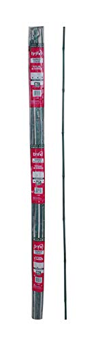 Bond 5-40Hd 6-Pack 5-Feet Bamboo Stake #TOP1