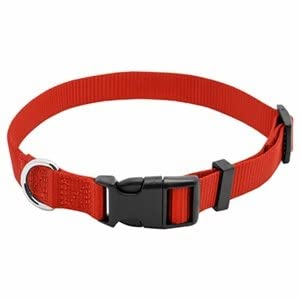 Westminster Pet Products 31879TV Pet Expert 3/10,2 x 50,8 cm Rosso Collare per Cani, Taglia Unica Regolabile