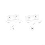 DAZZLEEX Acryl-Fenster-Pflanzenregal mit Saugnäpfen und Halterungen, 5 mm transparentes Material für Zimmerpflanzen-Display oder Heimdekoration, hält 2–5 kg Gewicht (2)