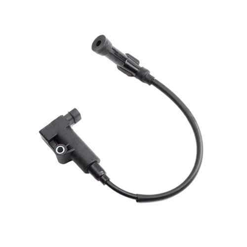 Bobine d'allumage Delphi EFI unité performance pour rechange moto
