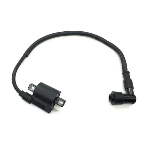 Kit de encendido completo para solucionar problemas de arranque en motores CG y ZJ