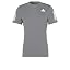 Gray Four/Reflective Silver
