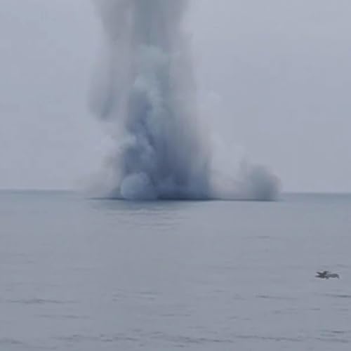 Turkiye blows up US-made drone that washed up on Black Sea coast