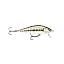 GDMN Guild Minnow