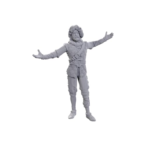 WizKids D&D Nolzur's Marvelous Miniatures: Special Edition Baldur's Gate 3 (Volo & Withers)