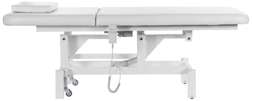 Skinact Cosmo Electric Facial Bed Massage Table With Motorized Reclinable Height And Backrest #TOP1