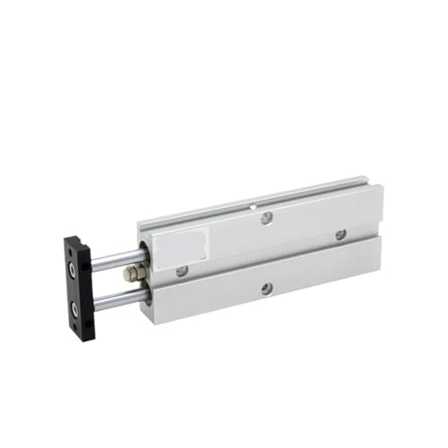 Cylindre double tige TN25 anti rotation pour alignement précis
