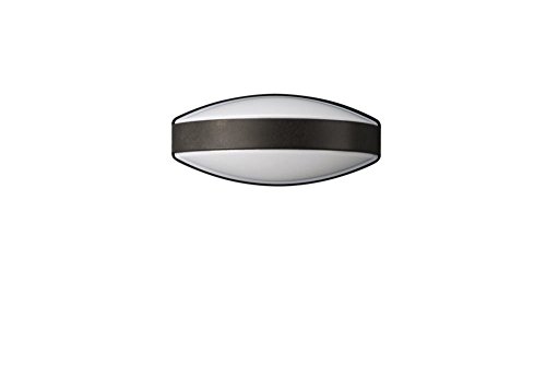 Massive Denver Lampe murale d'extérieur Noir (fonctionne avec des ampoules G23 1 x 9 W)