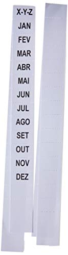 Tilibra - Pasta Sanfonada Polipropileno 0,65mm 12 Divisórias Cheque Organizer Cristal - 1 un