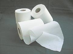 Windelvlies Rolle mit 100 Blatt sauerstoffgebleicht 16 x 38 cm