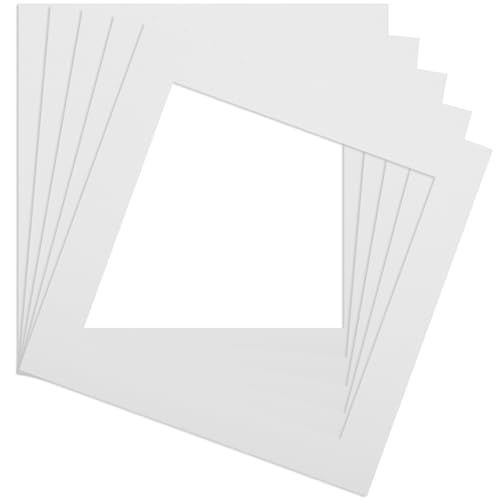 Mats de Cuadro de Imagen de 5 Piezas 12x12 '' Tablero de tasas de Efecto 3D Resistente al desvanecimiento con 8x8 '' Matting de Imagen pequeña Protectora Interna para Agregar Efecto de visualización