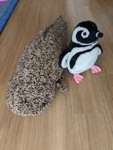 Amazon.co.jp: オリックス株主優待 京都水族館オオサンショウウオ