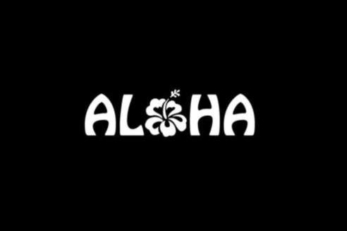 CCI Aloha Hibiscus Flower Hawaiian Hello Decal Vinyl Sticker|Cars