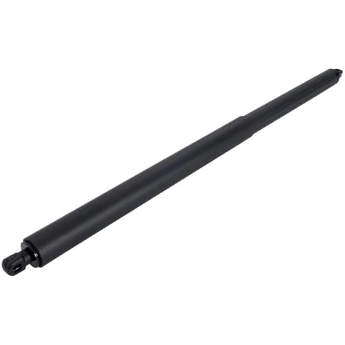 Support levage hayon électrique Tesla Modèle S 12-19