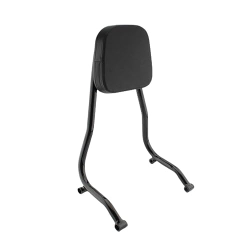 Coussin dossier passager moto pour voyager à deux en cruiser R18 custom